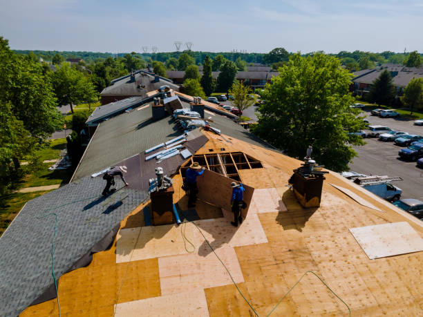 Best Roof Waterproofing Services  in Greentree, NJ